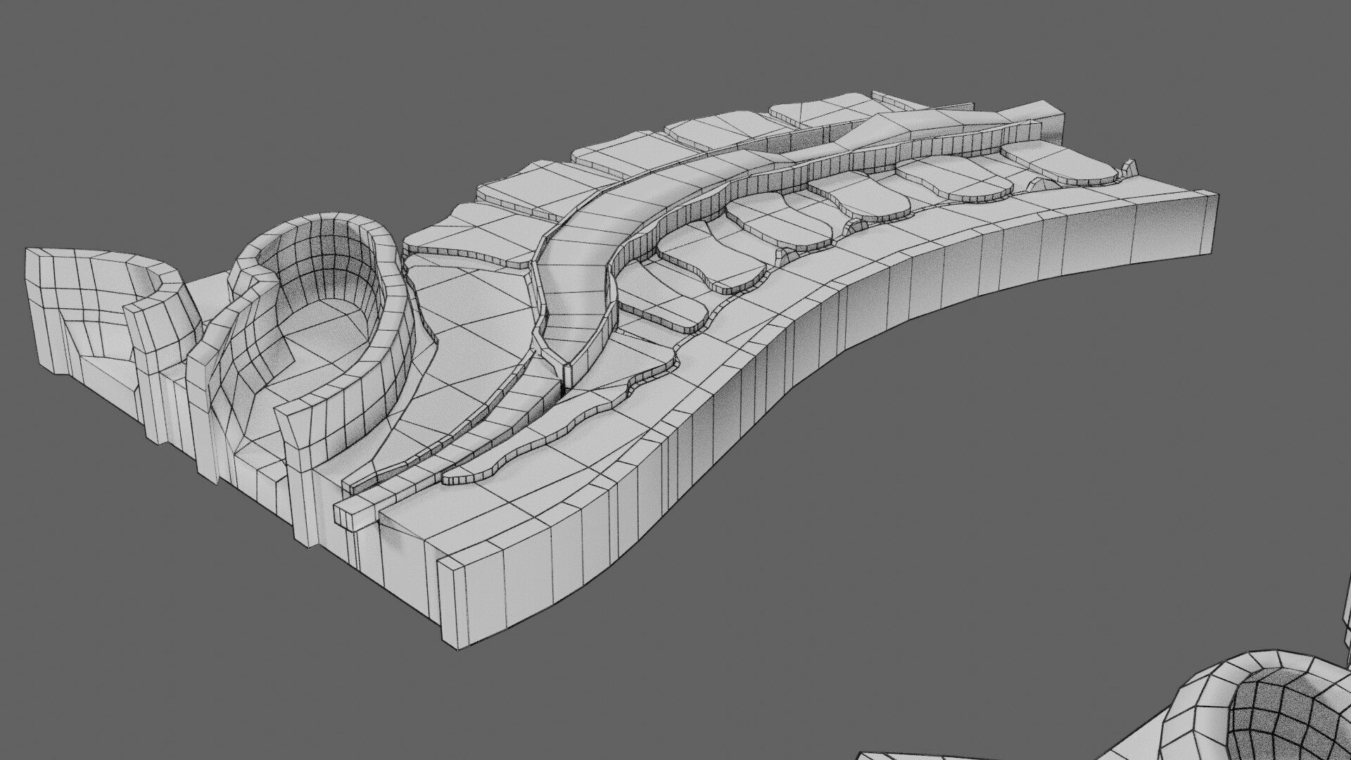 Spina bifida Neural Tube Defect Low-poly 3D model_80