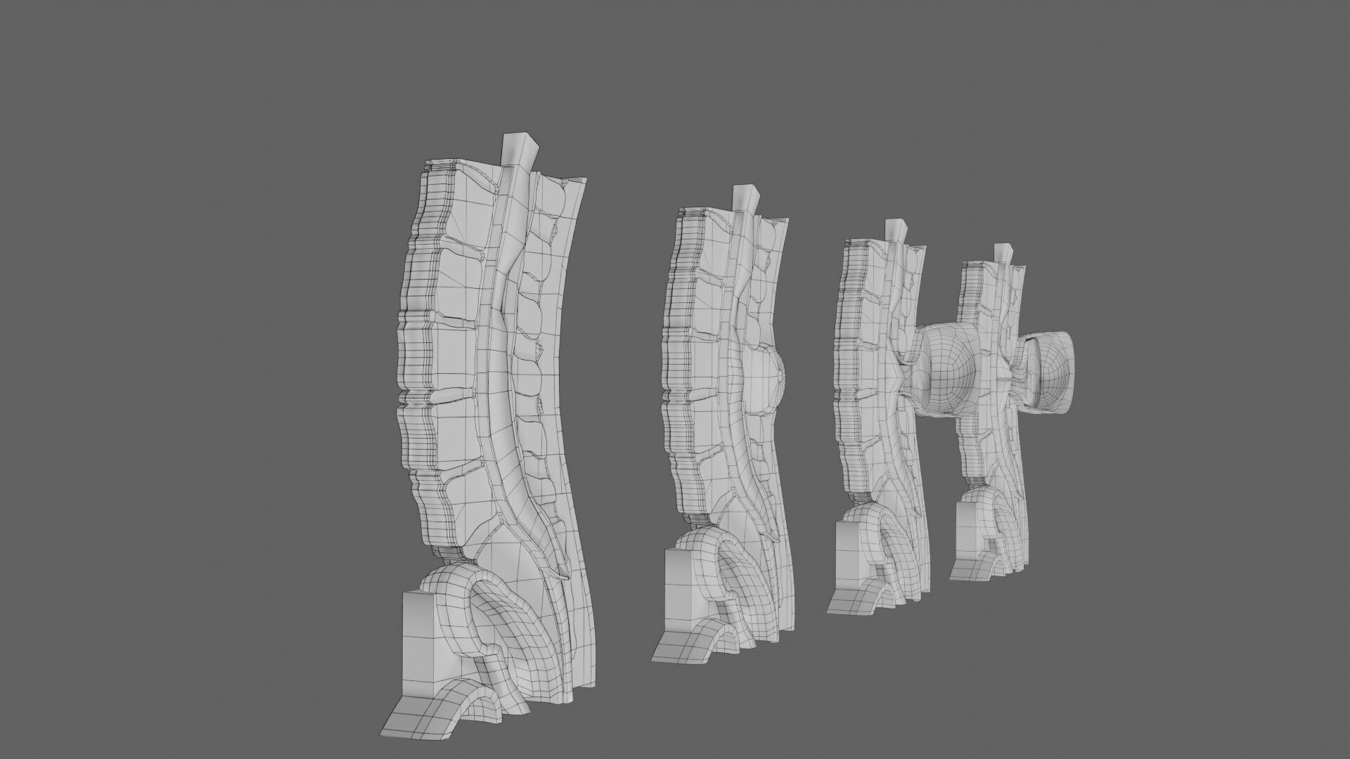 Spina bifida Neural Tube Defect Low-poly 3D model_72