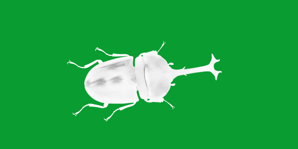 Dynastinae Rhinoceros Beetle Low-poly 3D model_9