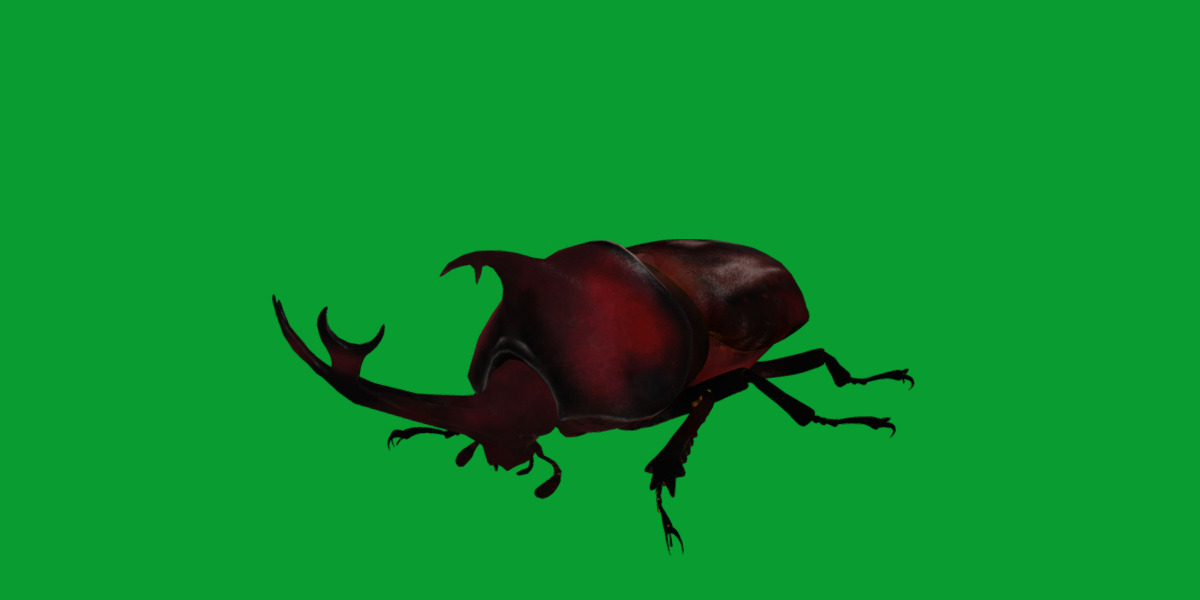 Dynastinae Rhinoceros Beetle Low-poly 3D model_25