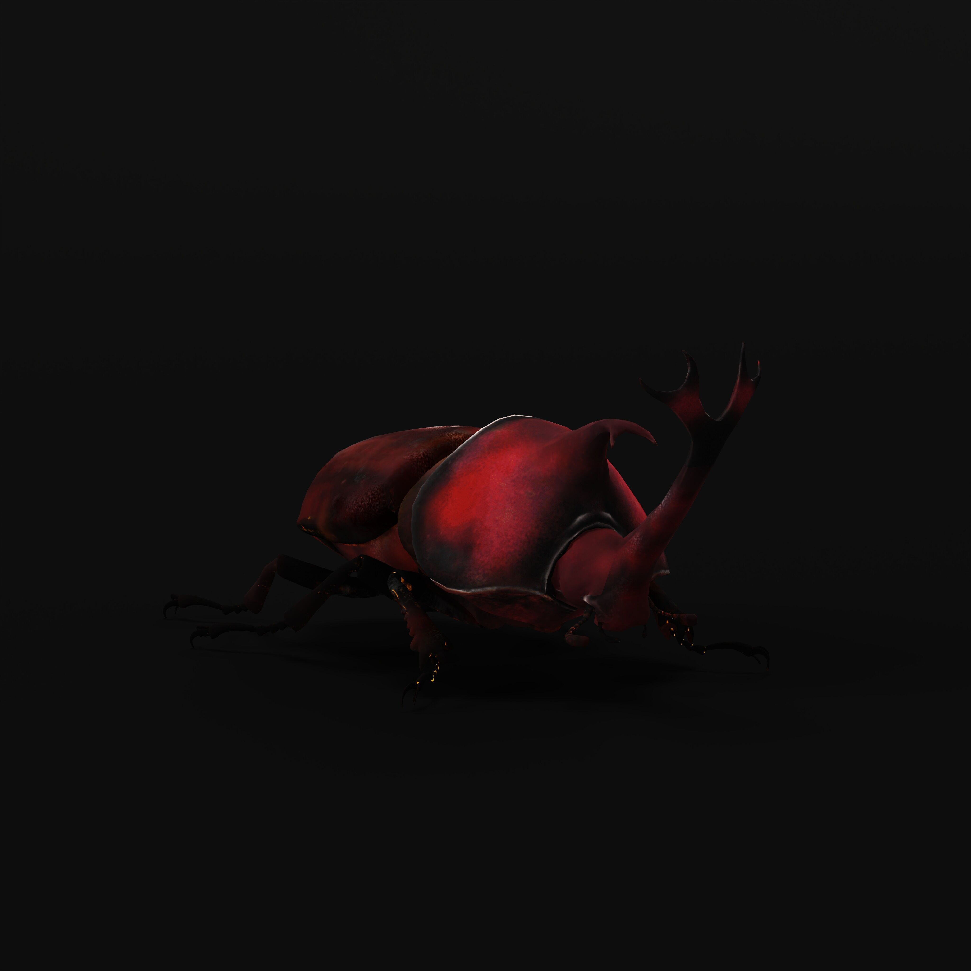 Dynastinae Rhinoceros Beetle Low-poly 3D model_41