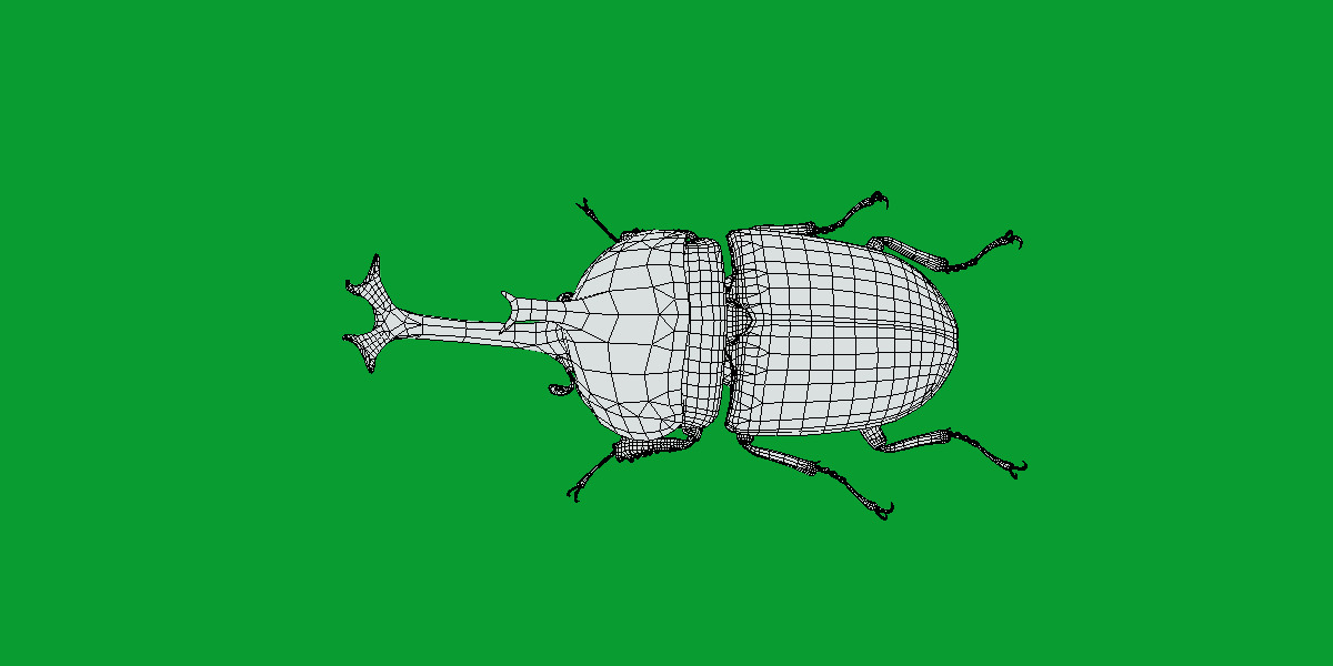 Dynastinae Rhinoceros Beetle Low-poly 3D model_20