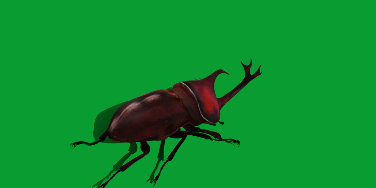 Dynastinae Rhinoceros Beetle Low-poly 3D model_6