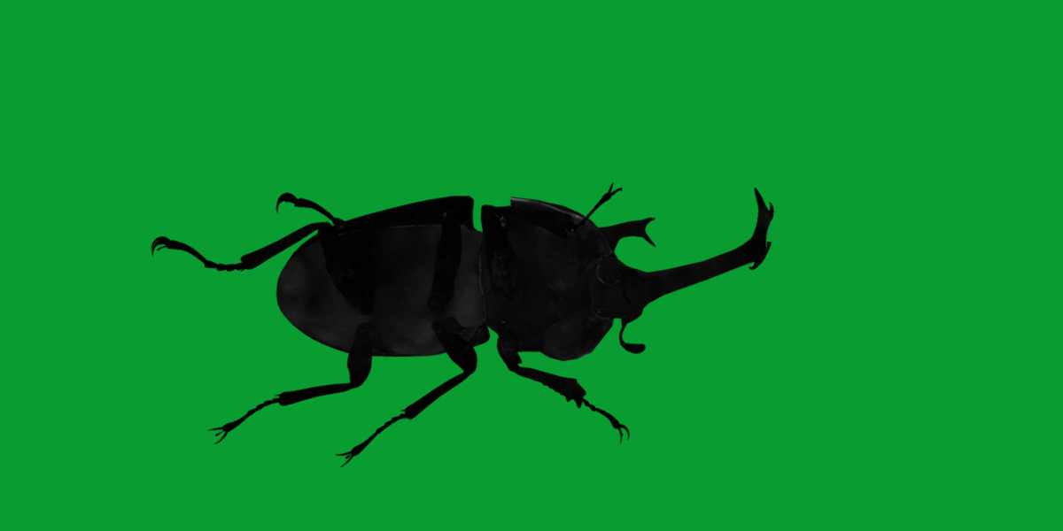Dynastinae Rhinoceros Beetle Low-poly 3D model_13