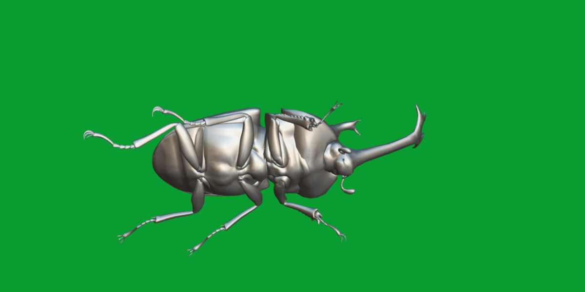 Dynastinae Rhinoceros Beetle Low-poly 3D model_15