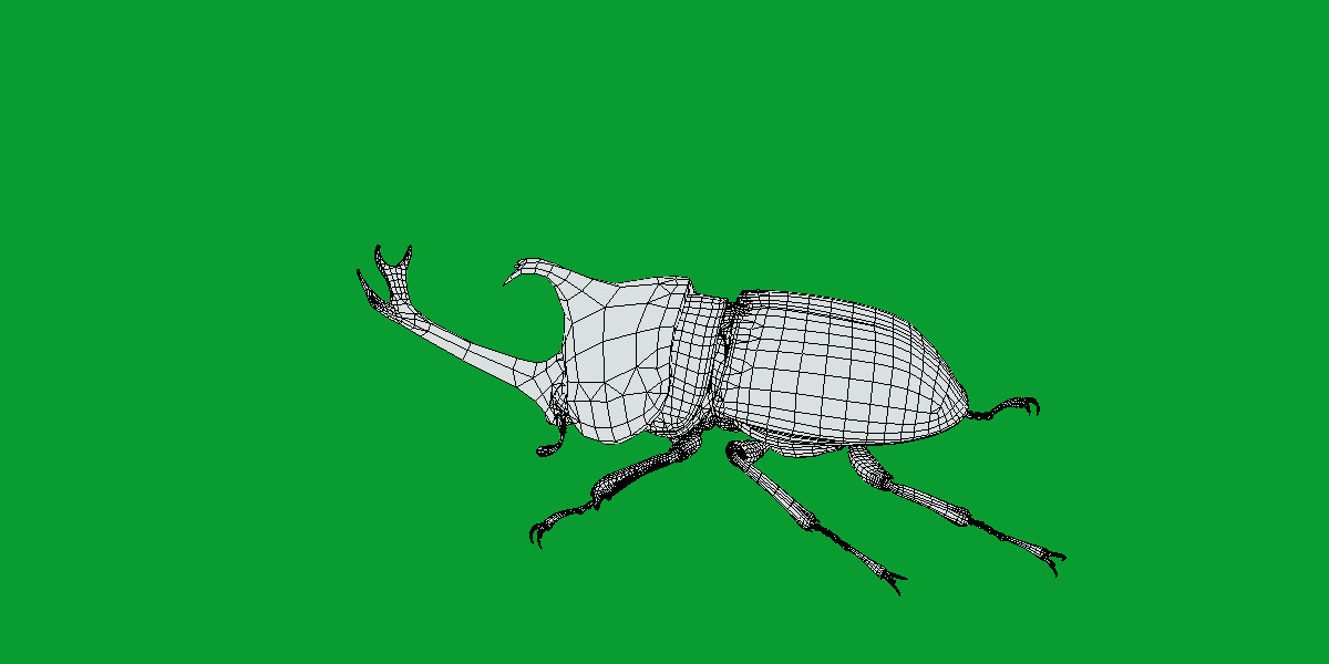 Dynastinae Rhinoceros Beetle Low-poly 3D model_19