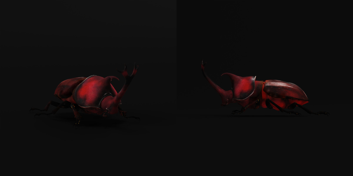 Dynastinae Rhinoceros Beetle Low-poly 3D model_3