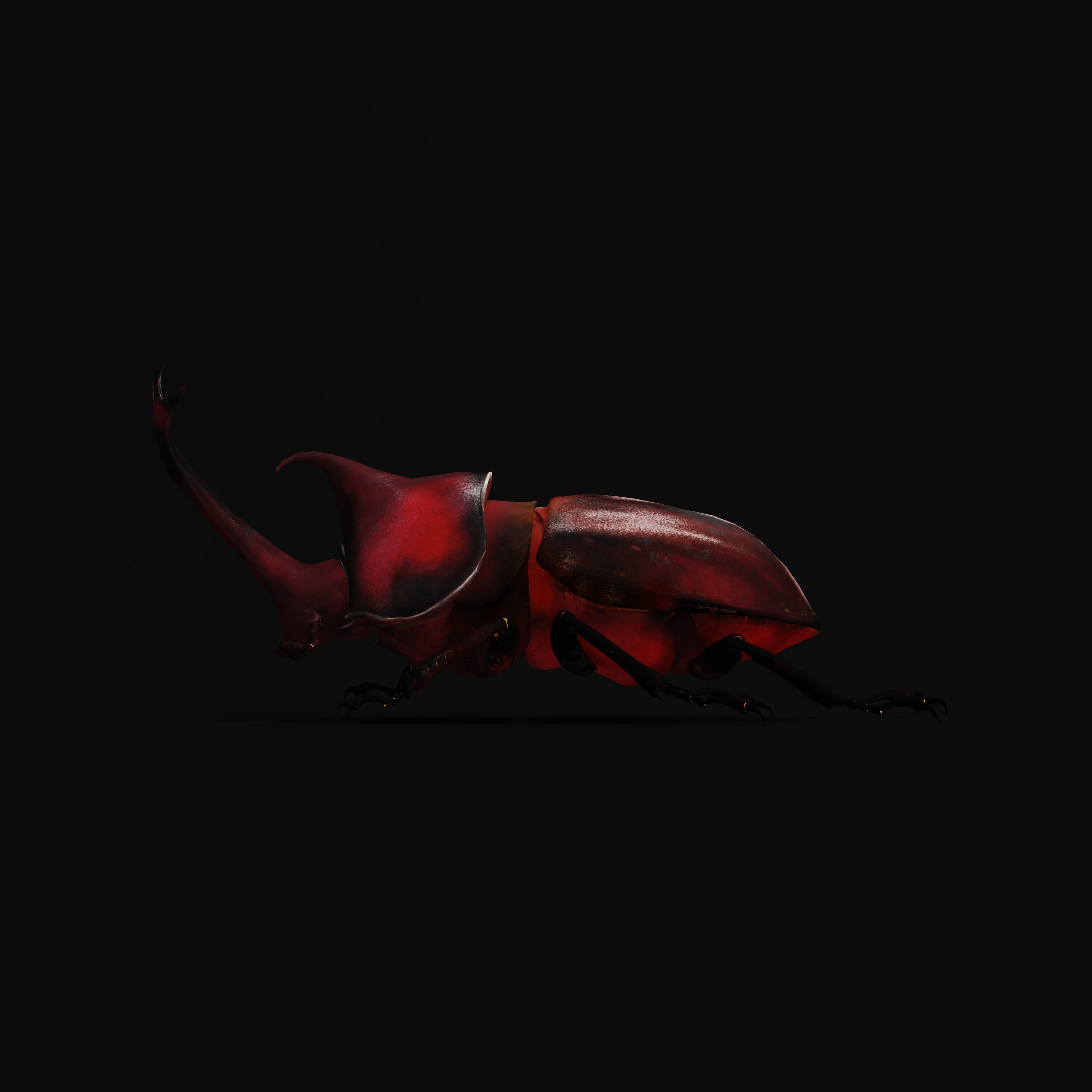Dynastinae Rhinoceros Beetle Low-poly 3D model_43