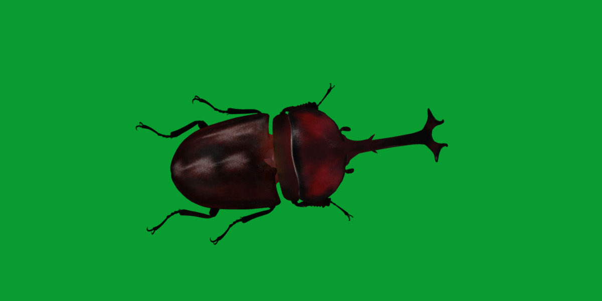 Dynastinae Rhinoceros Beetle Low-poly 3D model_10