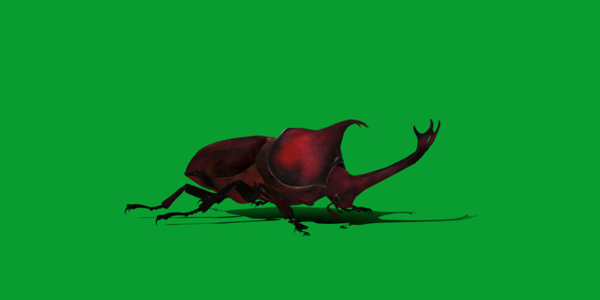 Dynastinae Rhinoceros Beetle Low-poly 3D model_29