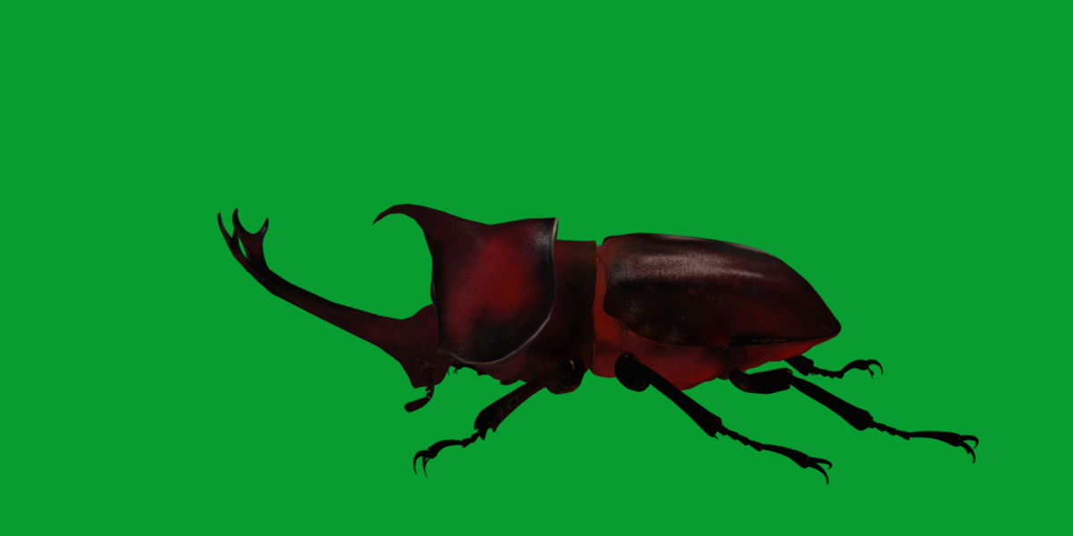 Dynastinae Rhinoceros Beetle Low-poly 3D model_30