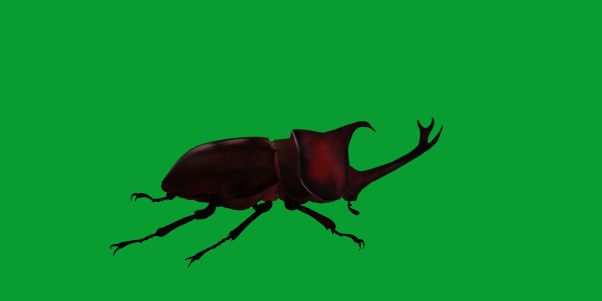 Dynastinae Rhinoceros Beetle Low-poly 3D model_11