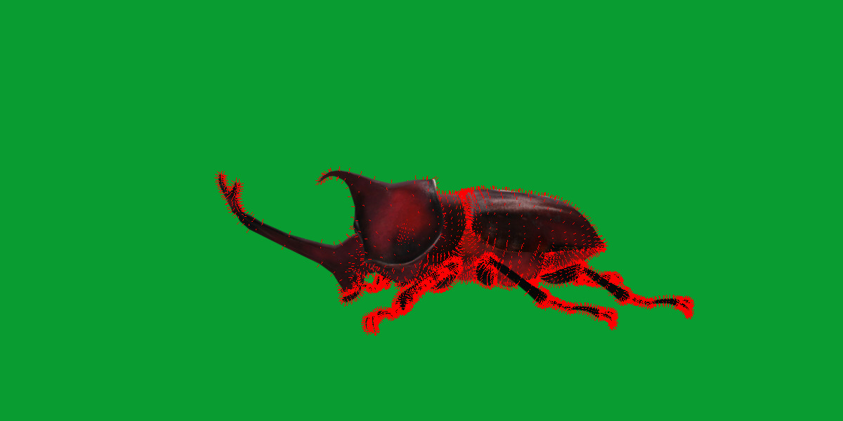 Dynastinae Rhinoceros Beetle Low-poly 3D model_23