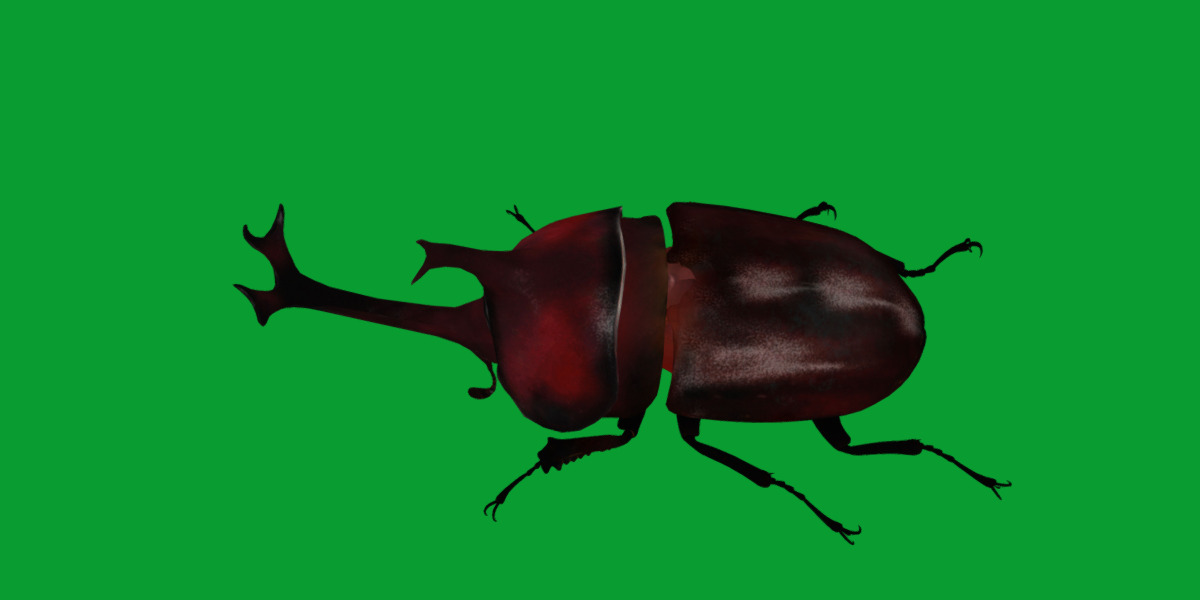 Dynastinae Rhinoceros Beetle Low-poly 3D model_4