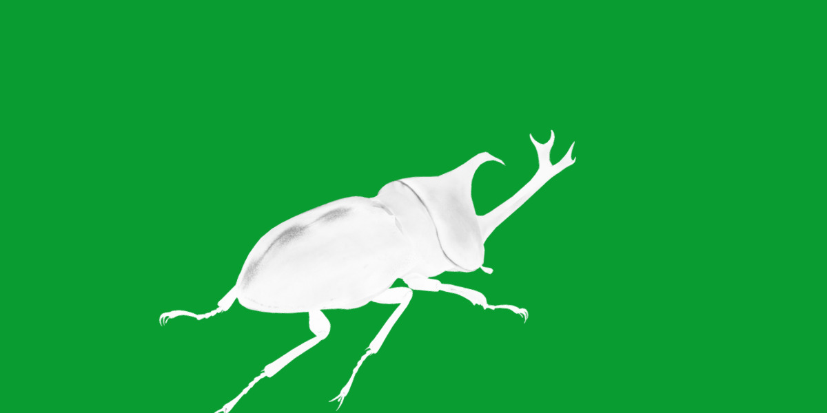 Dynastinae Rhinoceros Beetle Low-poly 3D model_8