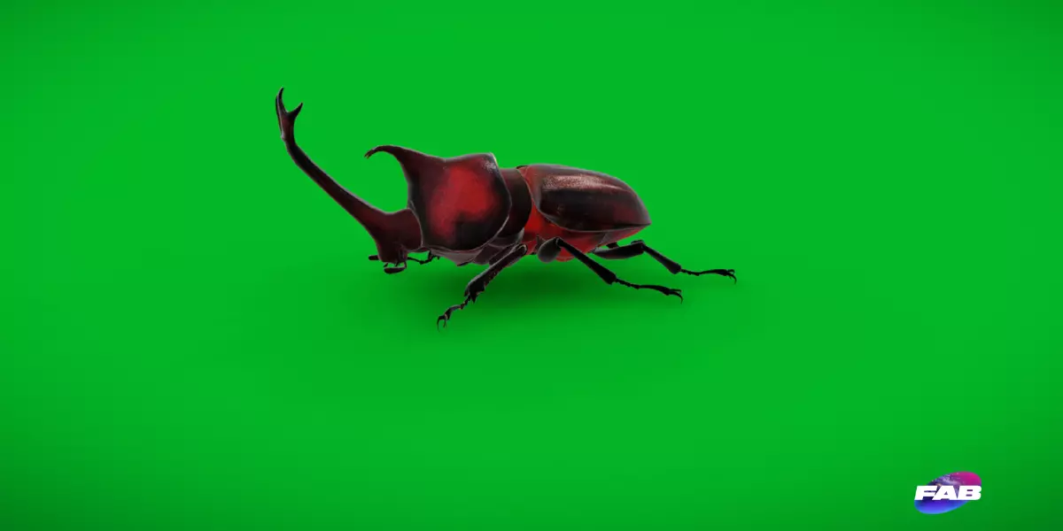 Dynastinae Rhinoceros Beetle Low-poly 3D model_0