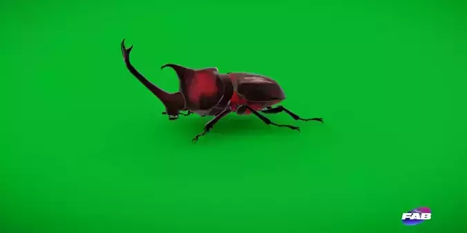 Dynastinae Rhinoceros Beetle Low-poly 3D model