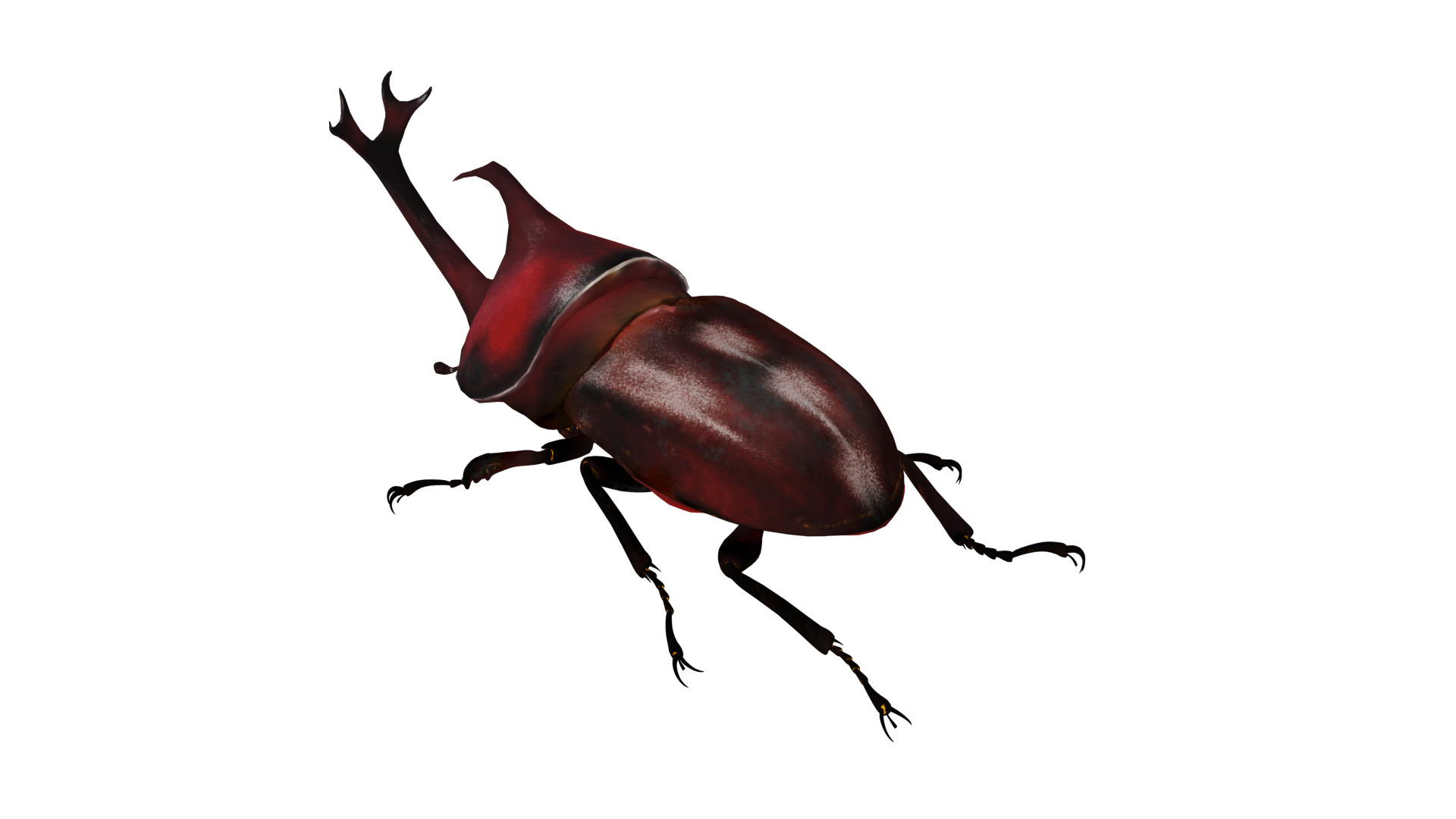 Dynastinae Rhinoceros Beetle Low-poly 3D model_38