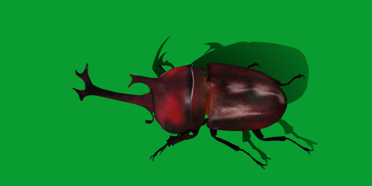 Dynastinae Rhinoceros Beetle Low-poly 3D model_5