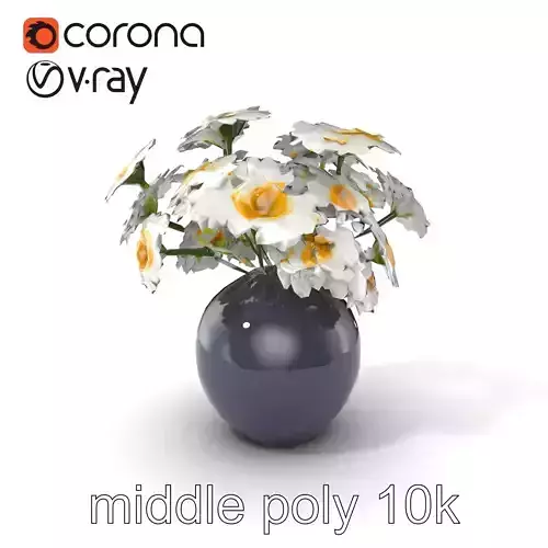 Modern Black Vase with Daisies model pack