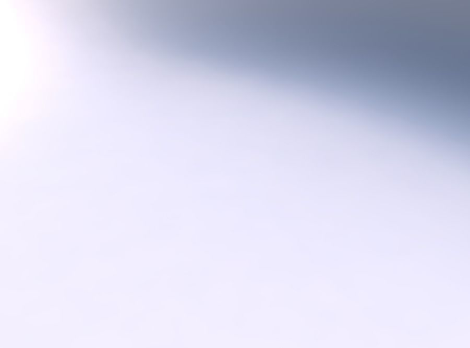 Bowl wide and twisted with twisted bands 2