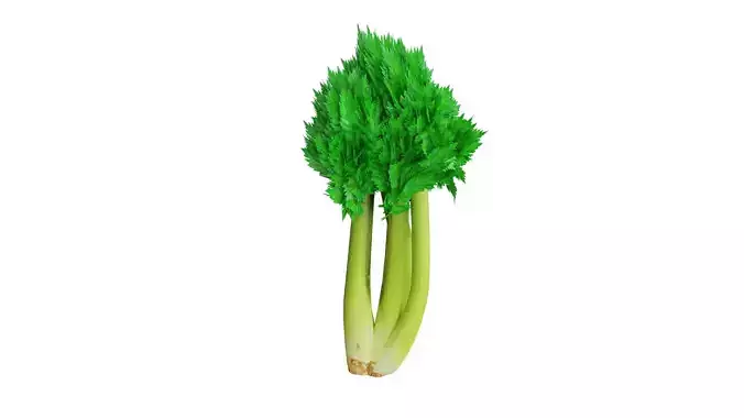 Celery Low-poly 3D model