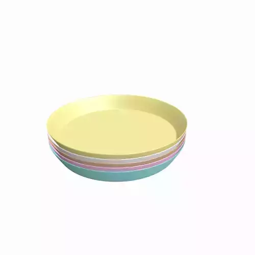Plastic Plate 3D model