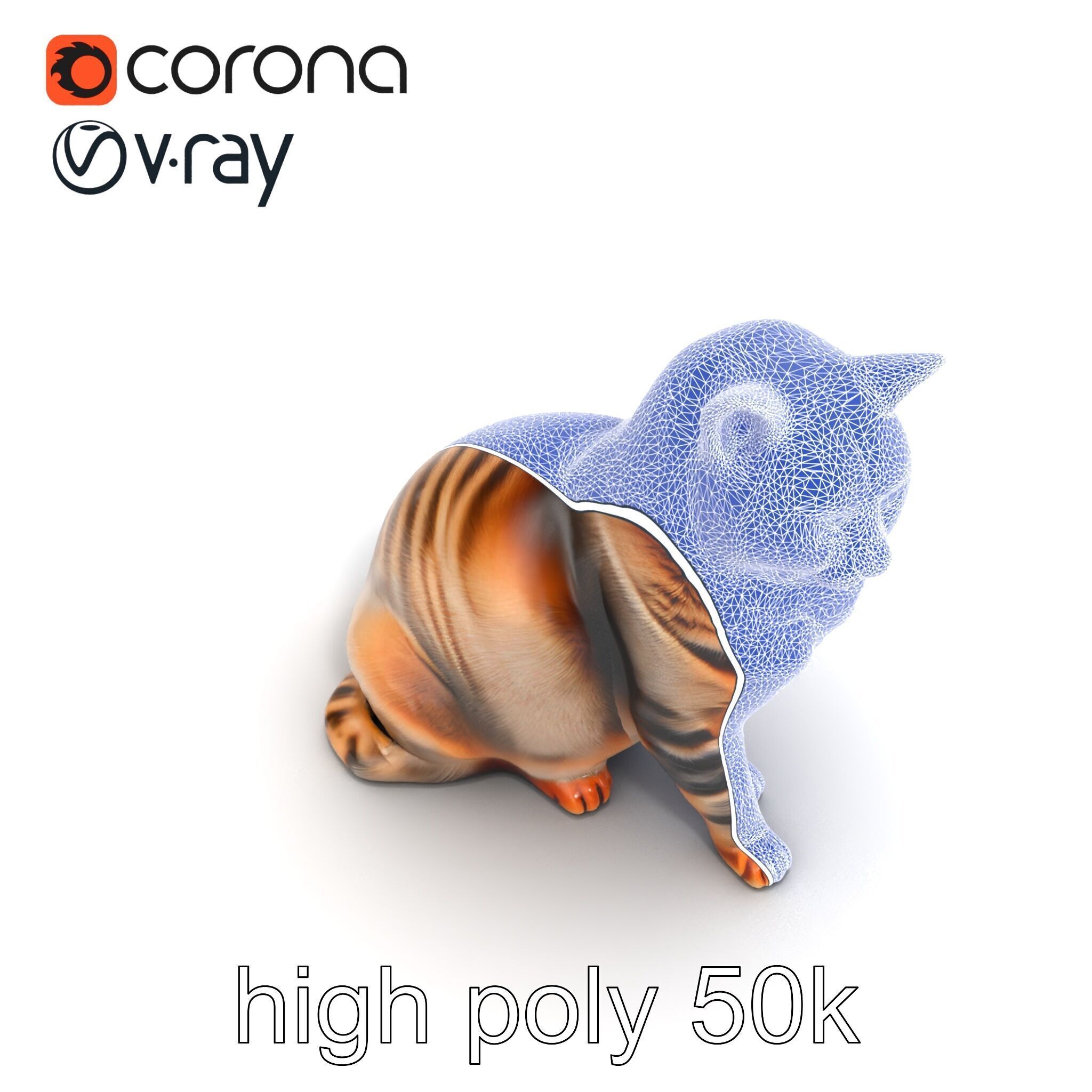 Realistic Domestic Cat Model Pack Low-poly 3D model_20