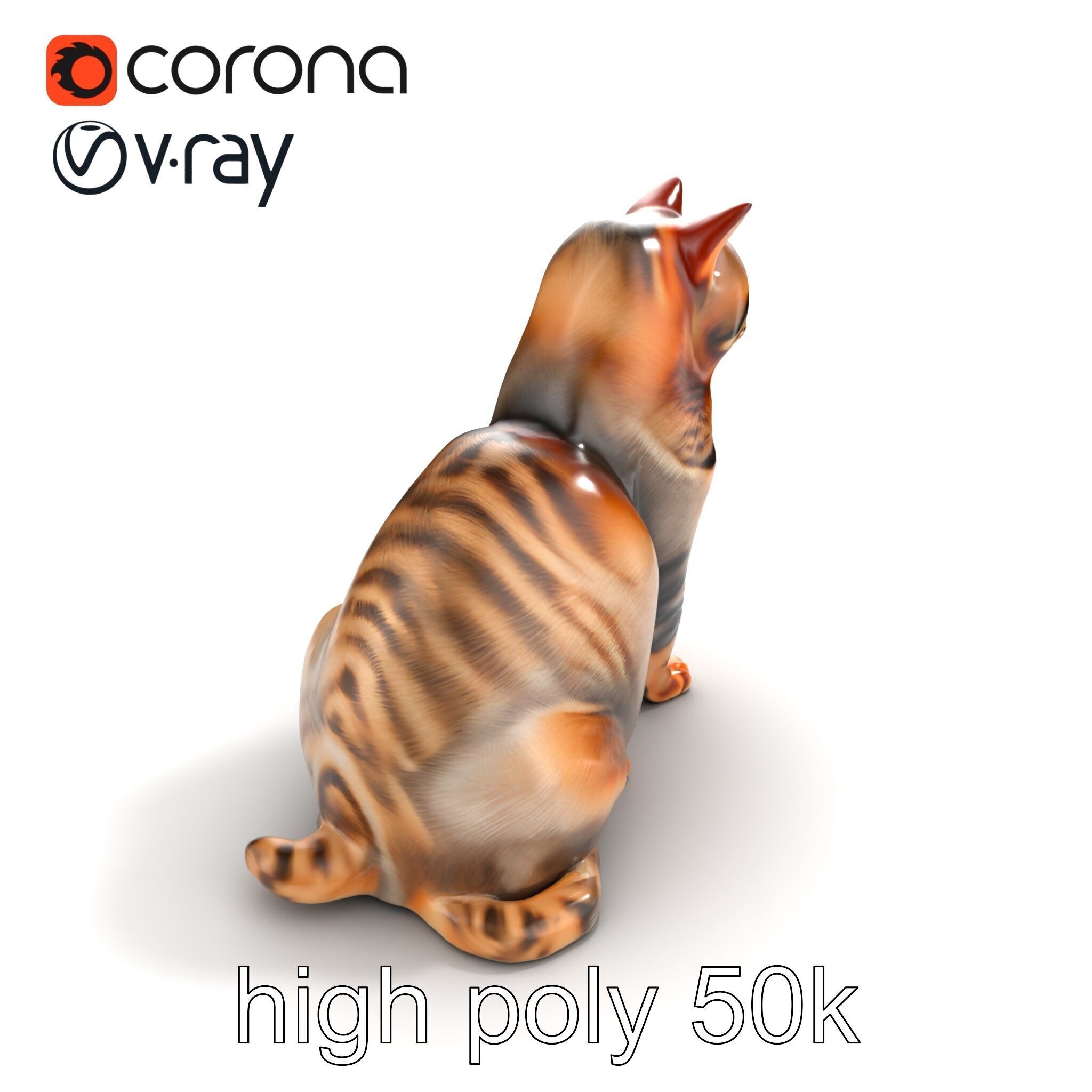 Realistic Domestic Cat Model Pack Low-poly 3D model_13