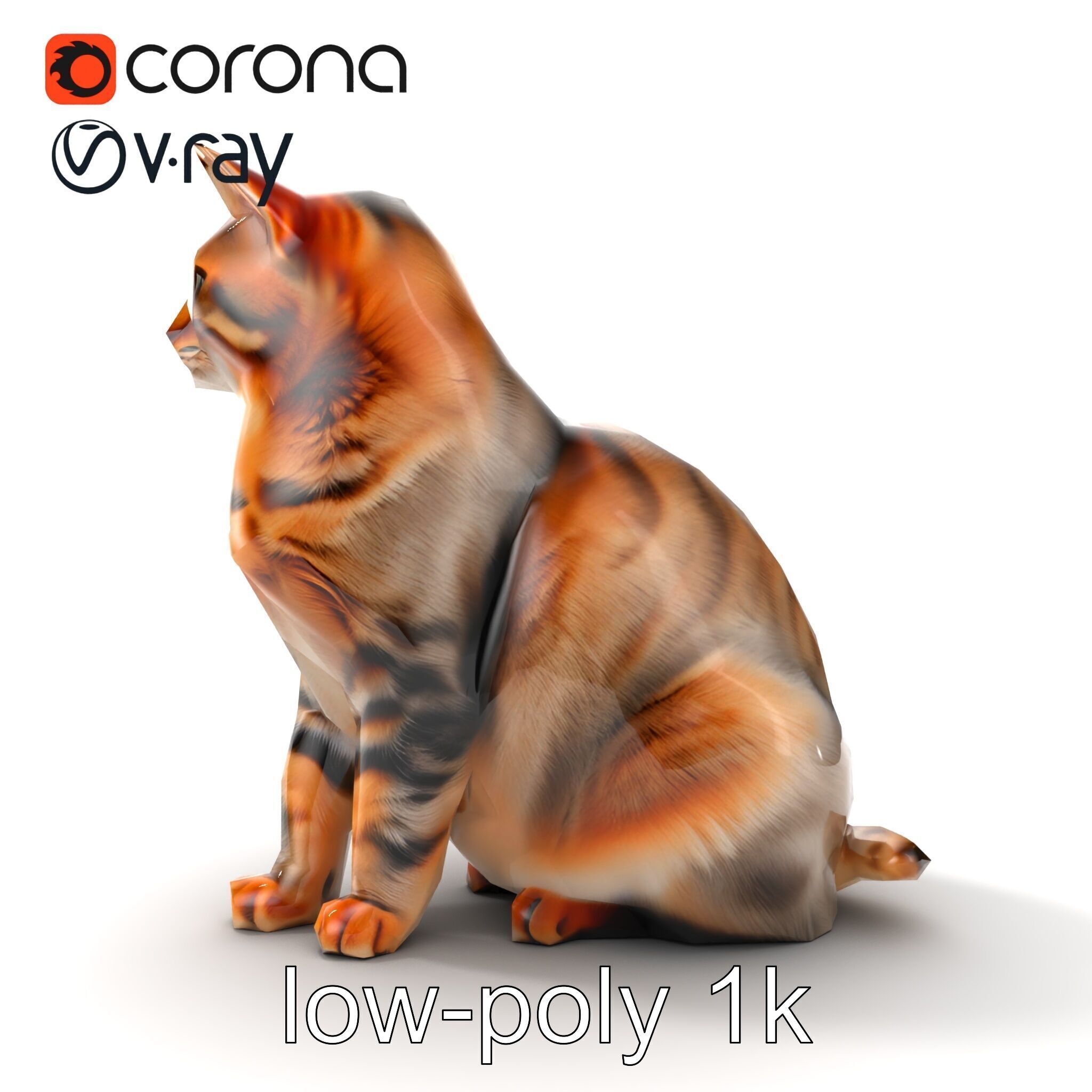 Realistic Domestic Cat Model Pack Low-poly 3D model_17