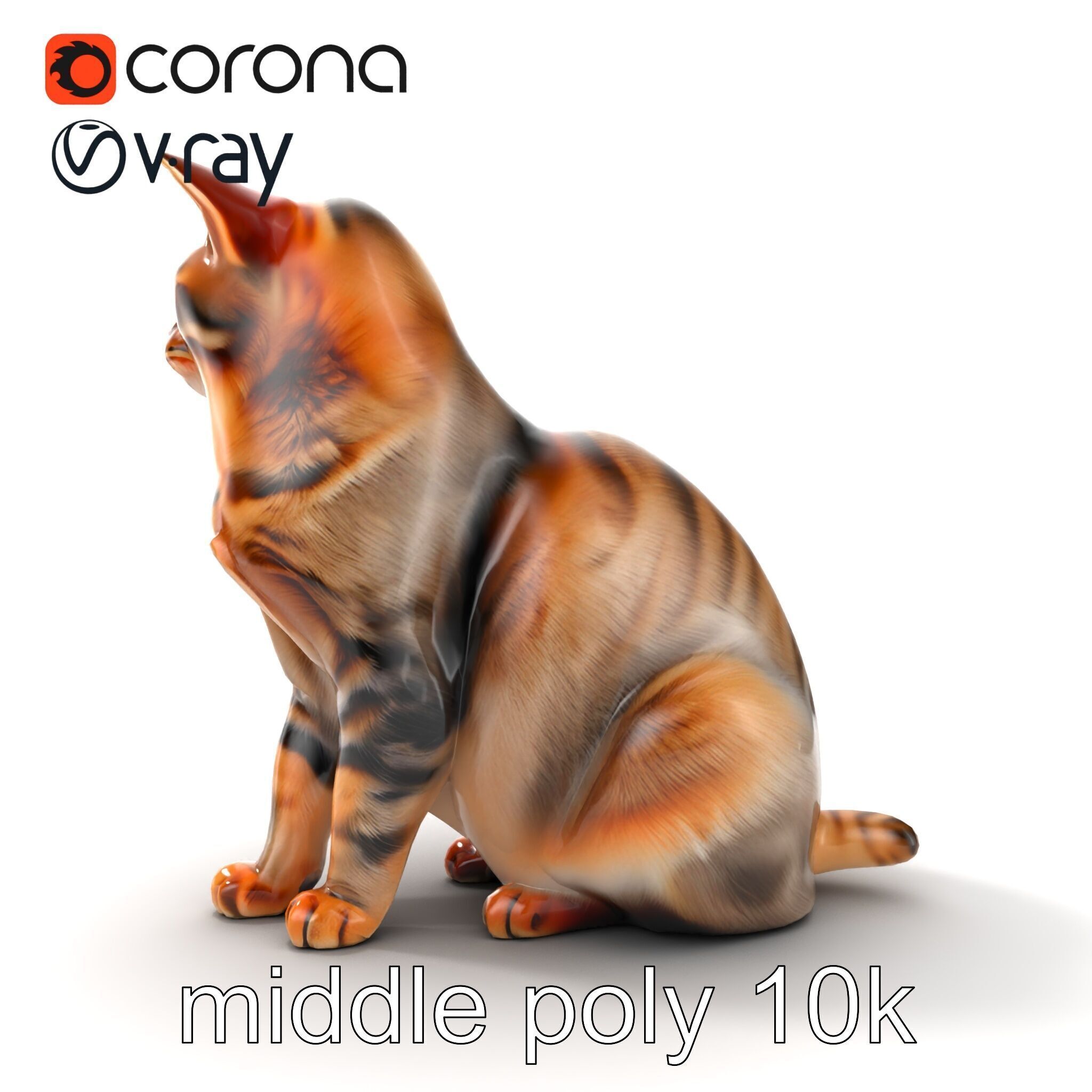 Realistic Domestic Cat Model Pack Low-poly 3D model_27