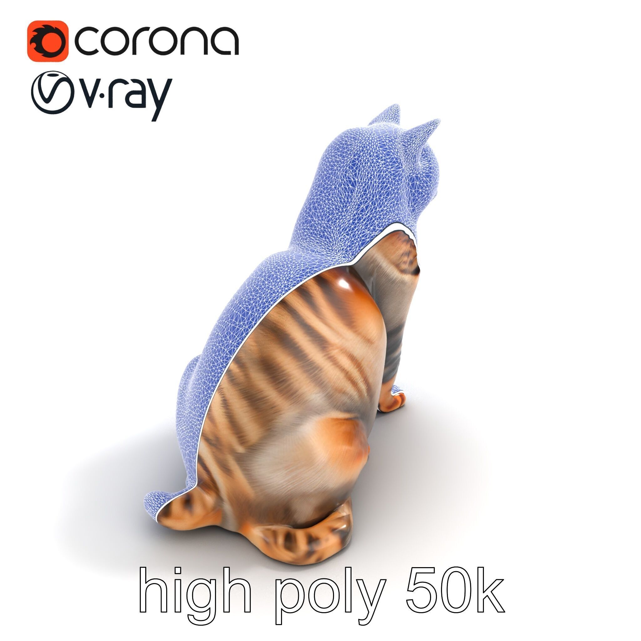 Realistic Domestic Cat Model Pack Low-poly 3D model_32