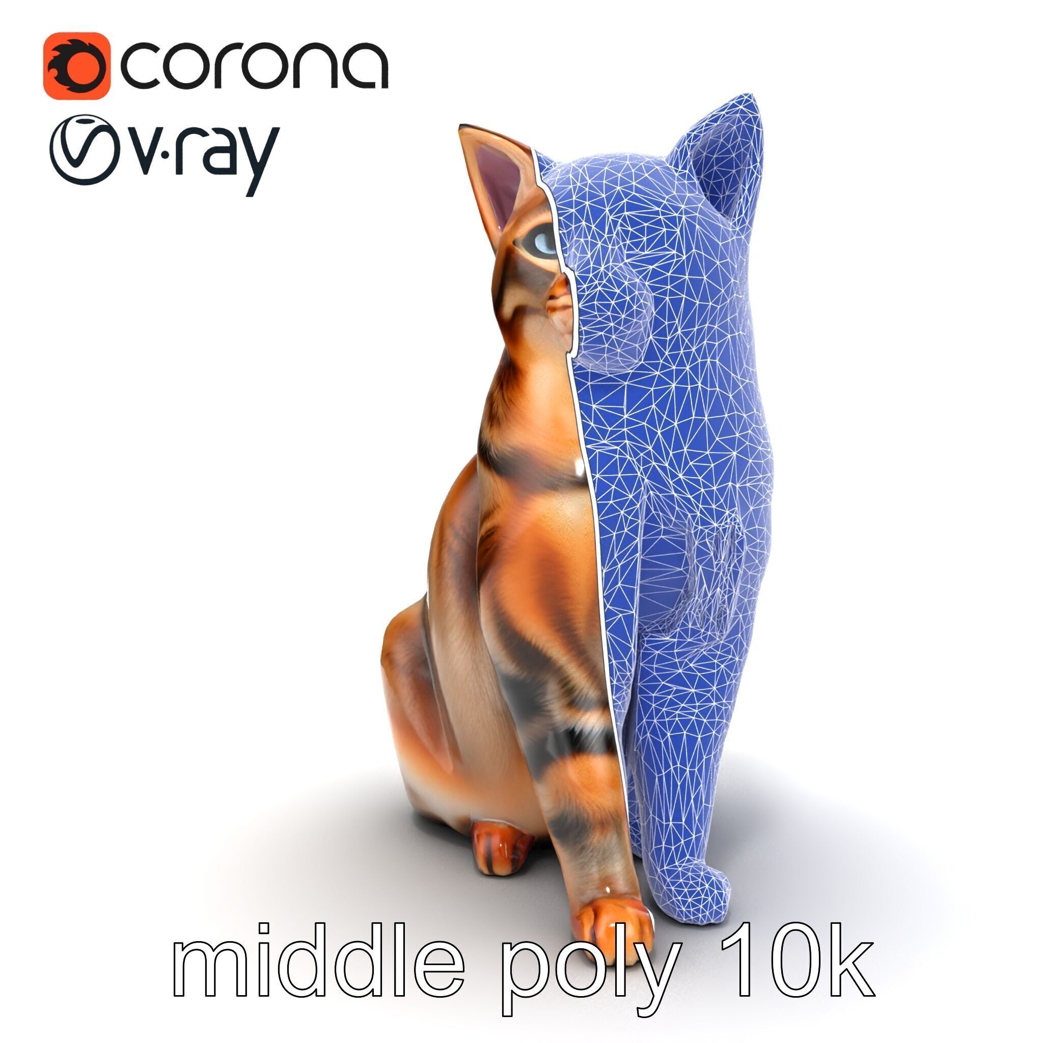 Realistic Domestic Cat Model Pack Low-poly 3D model_16