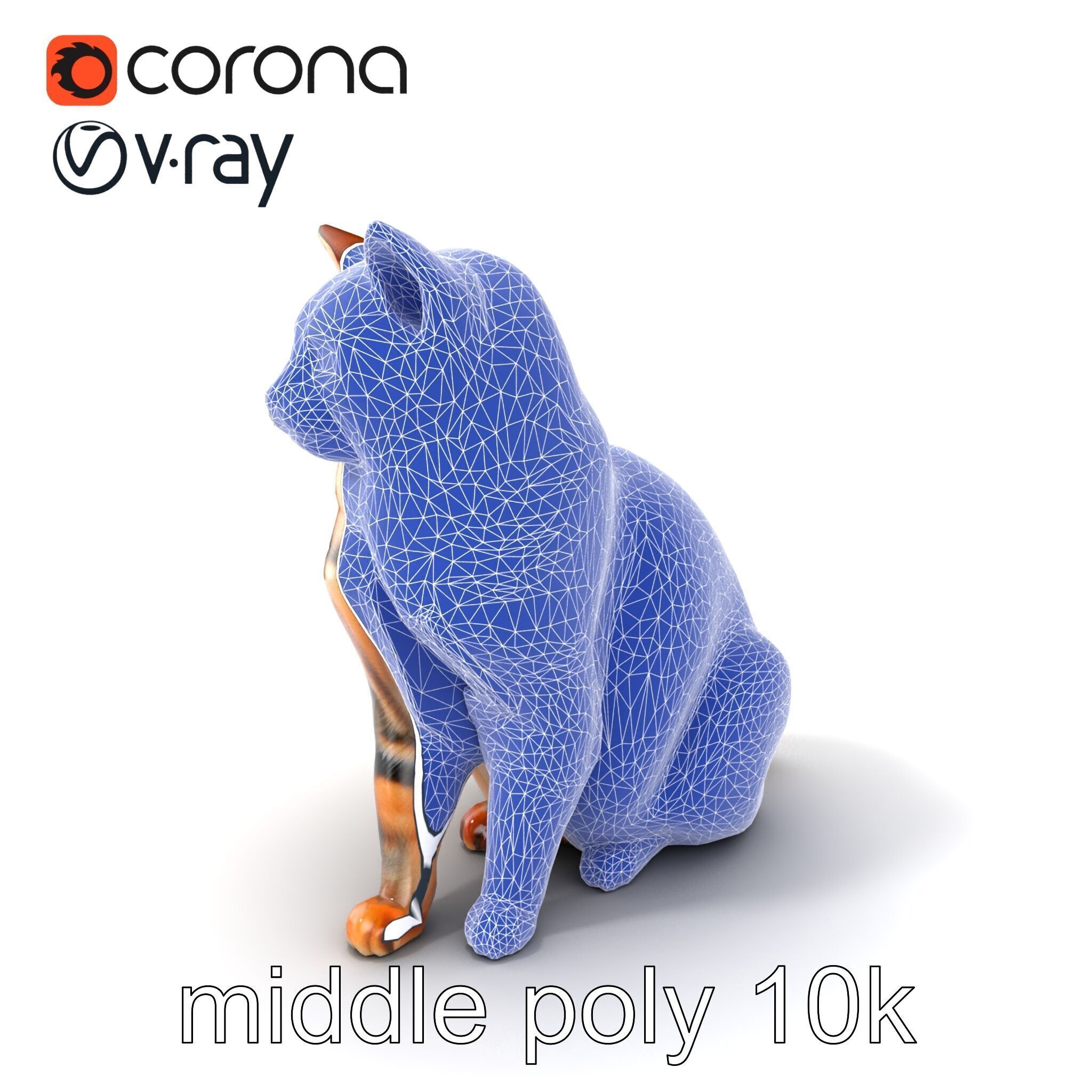 Realistic Domestic Cat Model Pack Low-poly 3D model_6