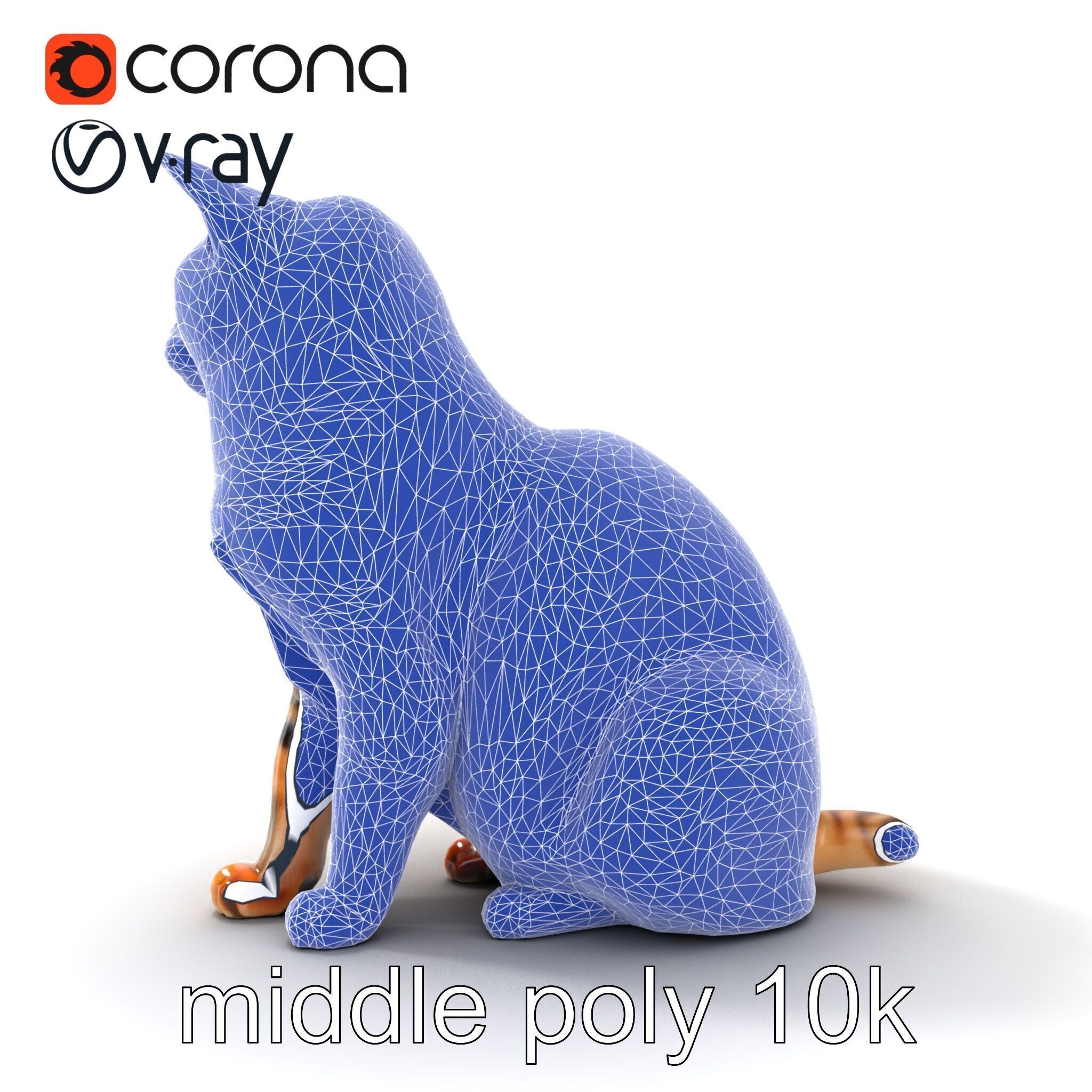 Realistic Domestic Cat Model Pack Low-poly 3D model_31