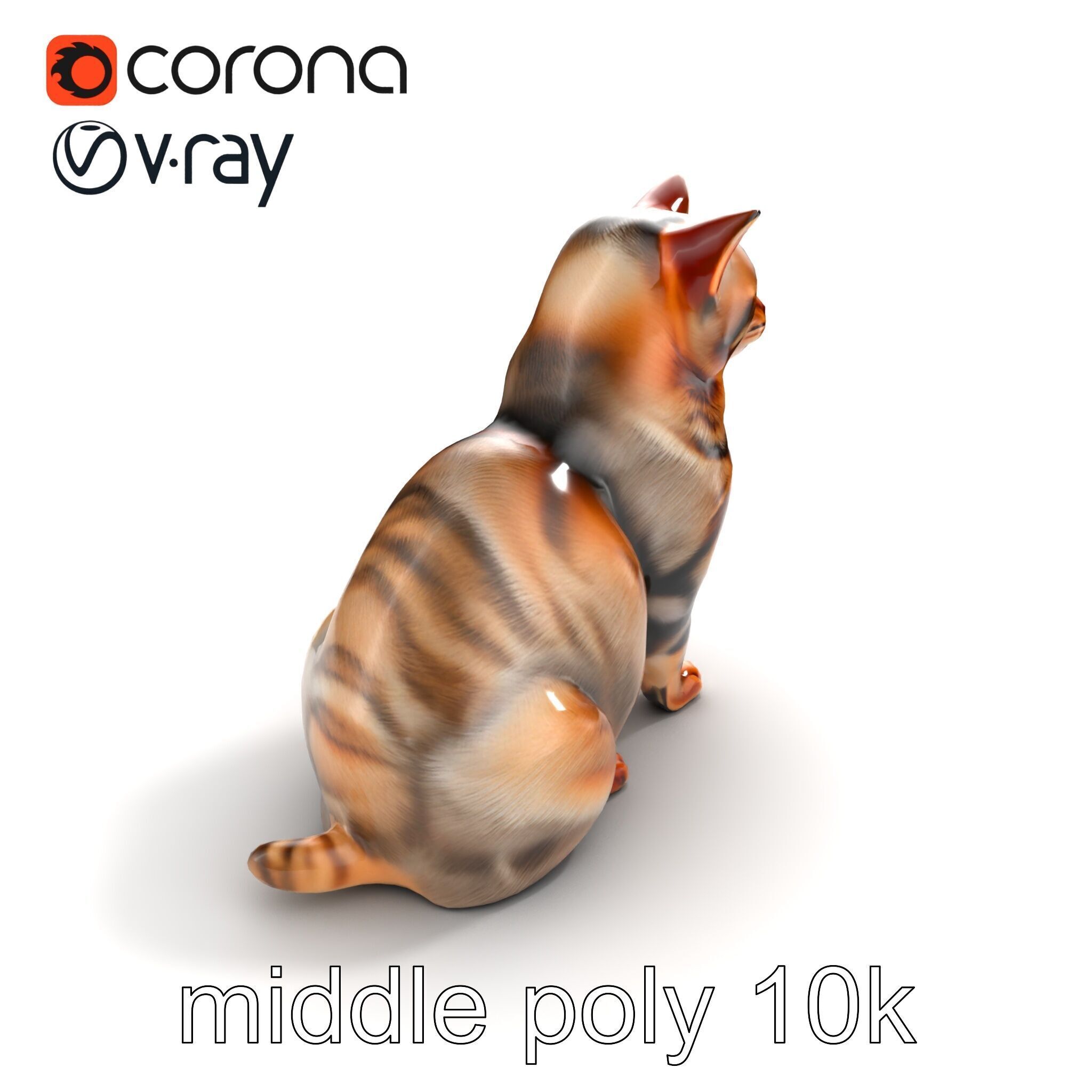 Realistic Domestic Cat Model Pack Low-poly 3D model_8