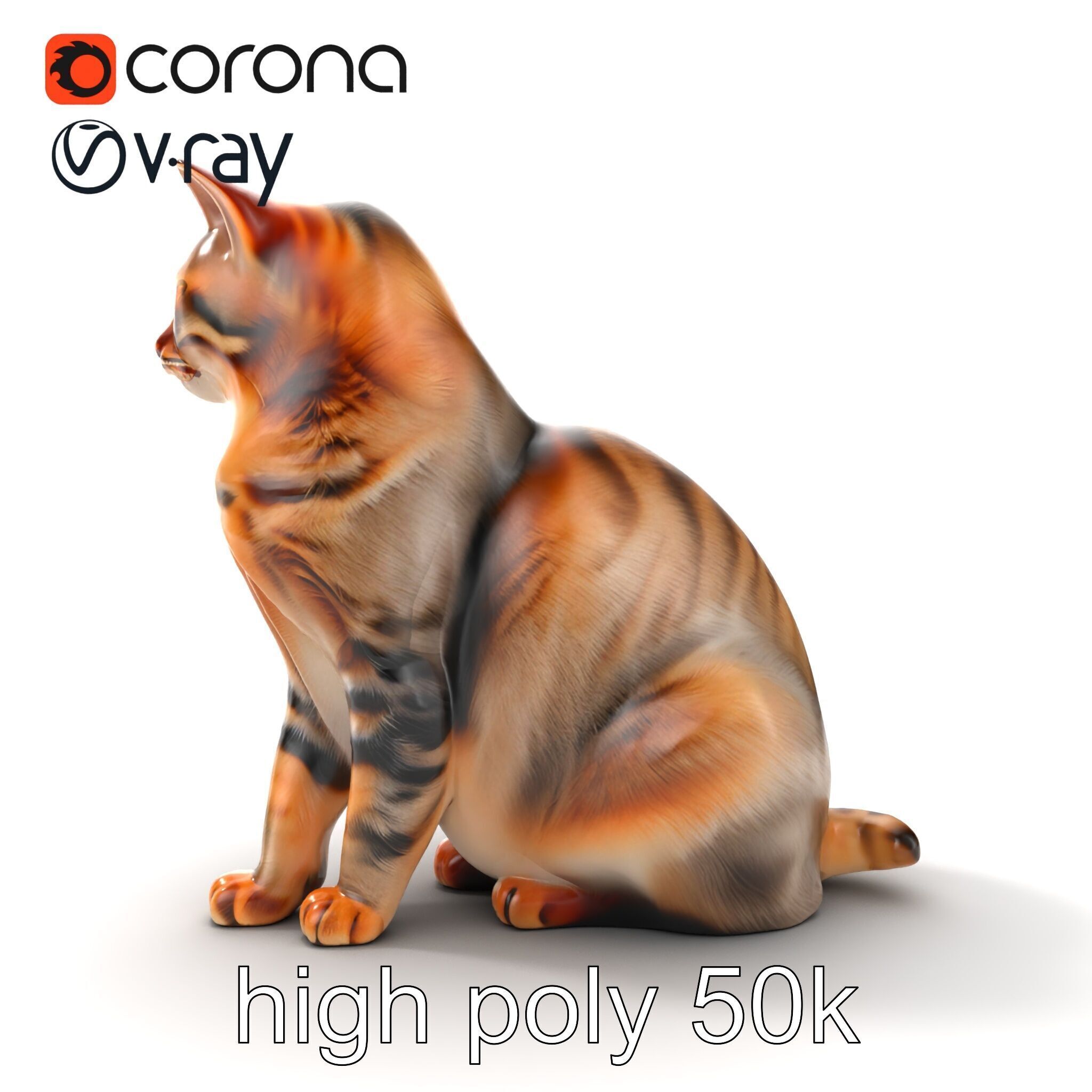 Realistic Domestic Cat Model Pack Low-poly 3D model_23