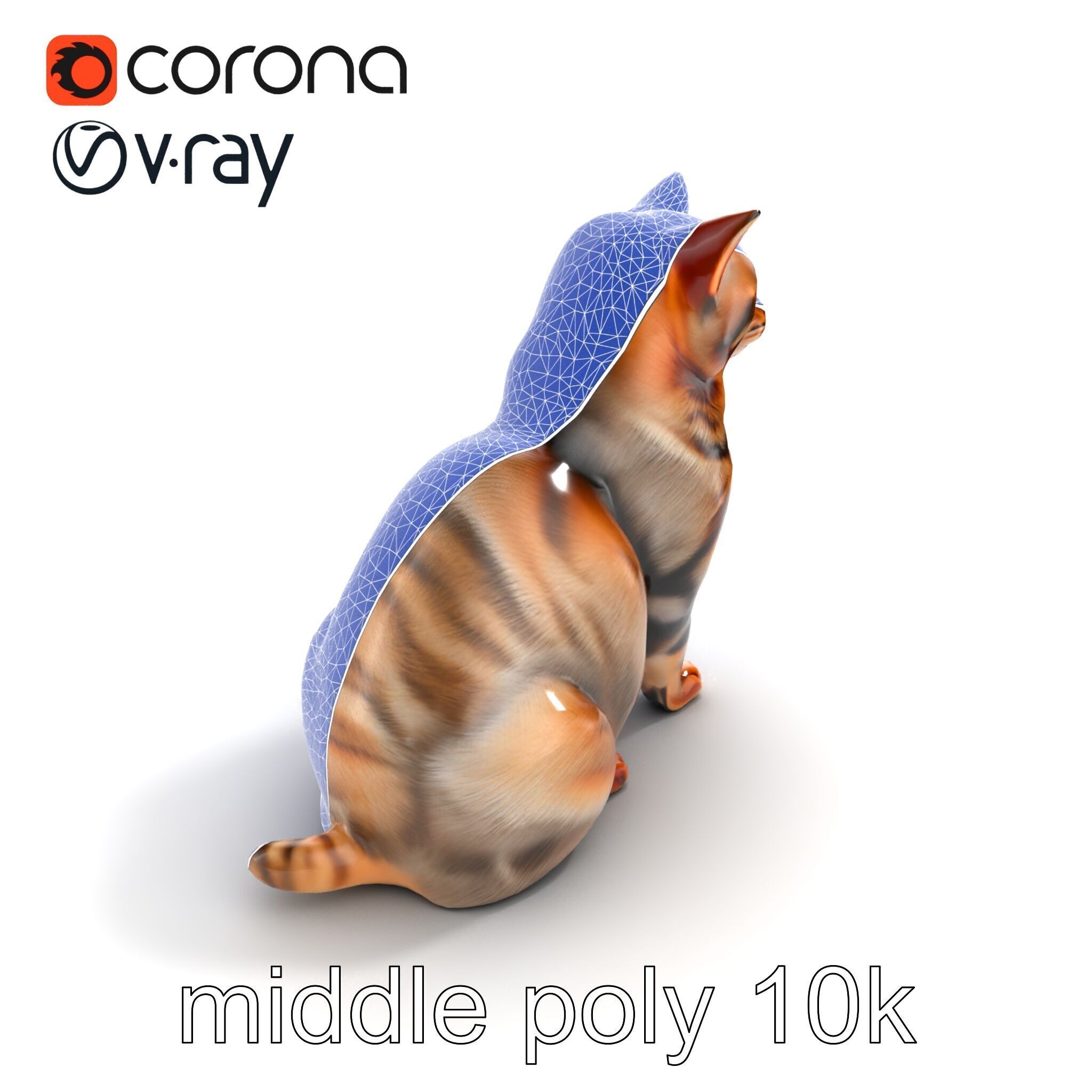 Realistic Domestic Cat Model Pack Low-poly 3D model_12