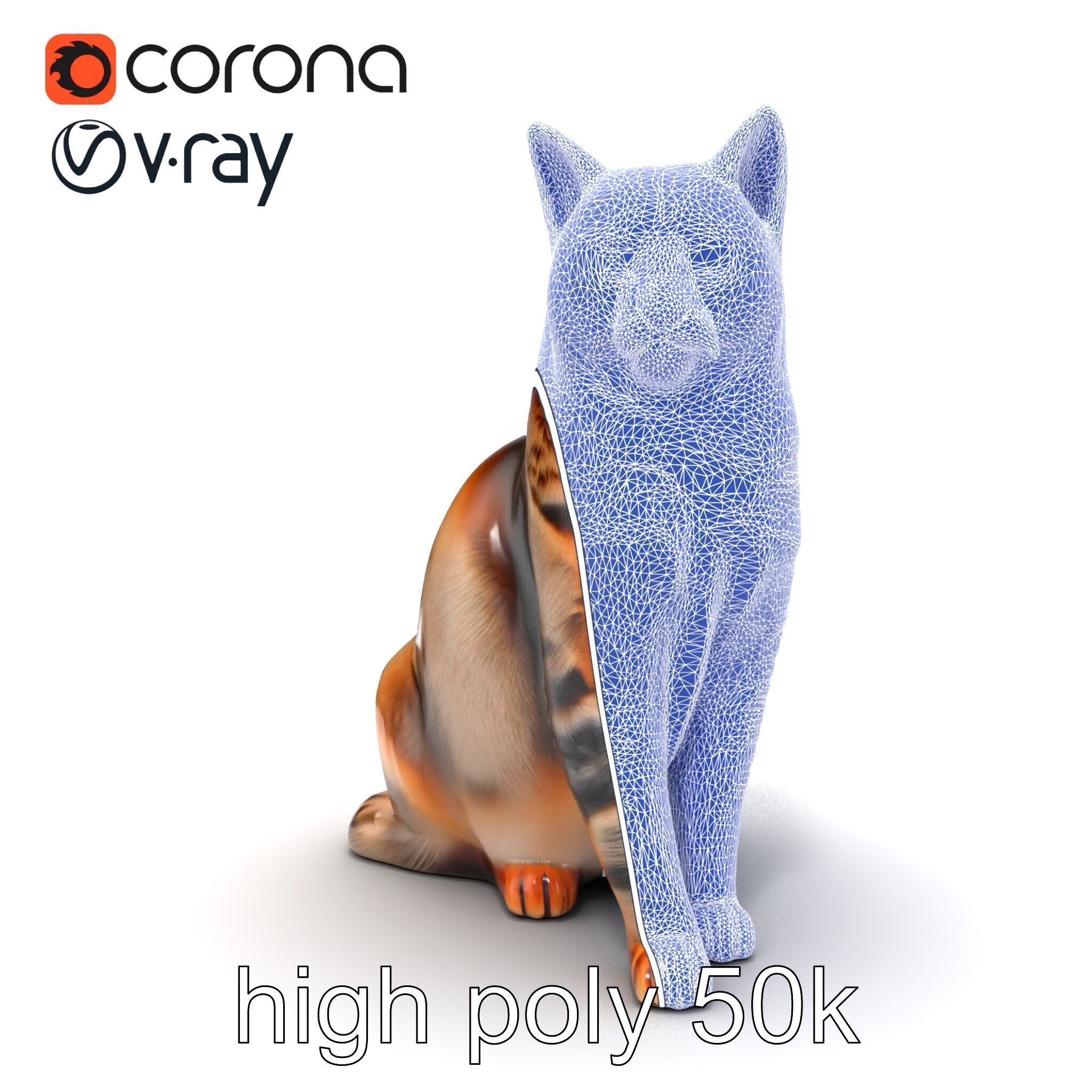 Realistic Domestic Cat Model Pack Low-poly 3D model_30