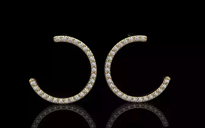 Round earring model 711