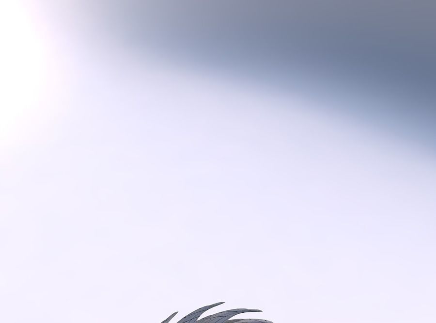 Bowl two layered flower with beveled edges twisted and strech... 3D print model_5