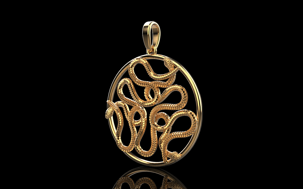 snake round pendant model 709 3D print model_30