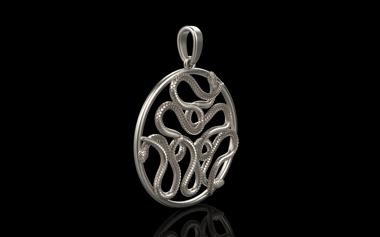 snake round pendant model 709 3D print model_25
