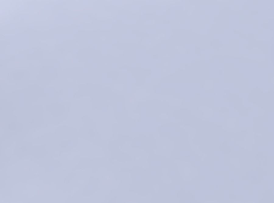 Bowl two layered flower long neck 3D print model_1