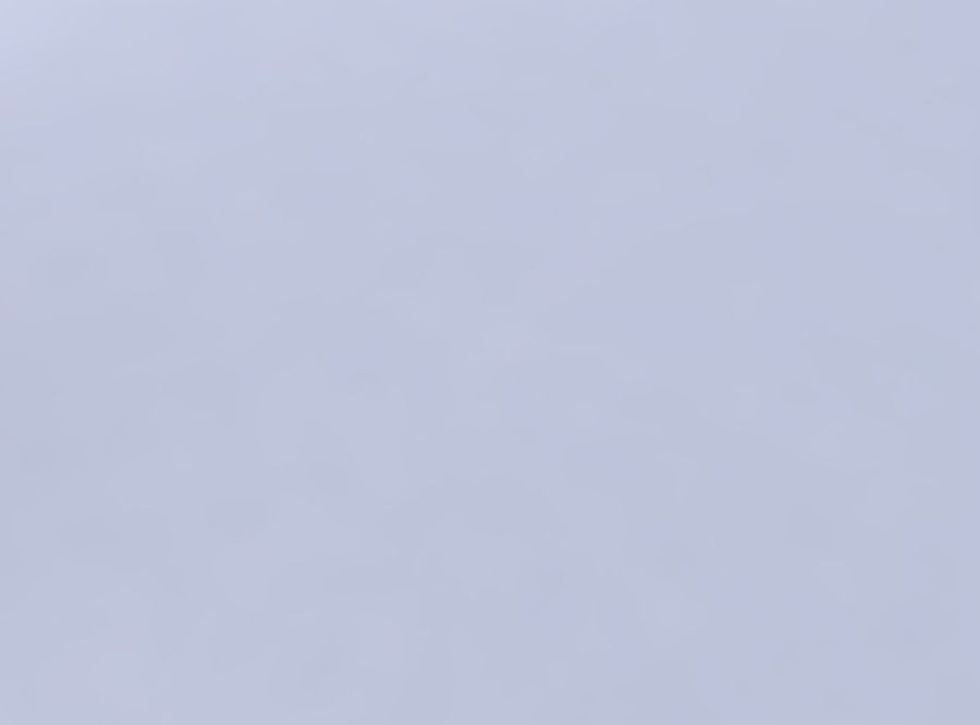 Bowl two layered flower long neck 3D print model_6