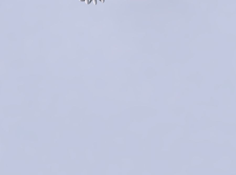 Bowl two layered flower long neck 3D print model_2