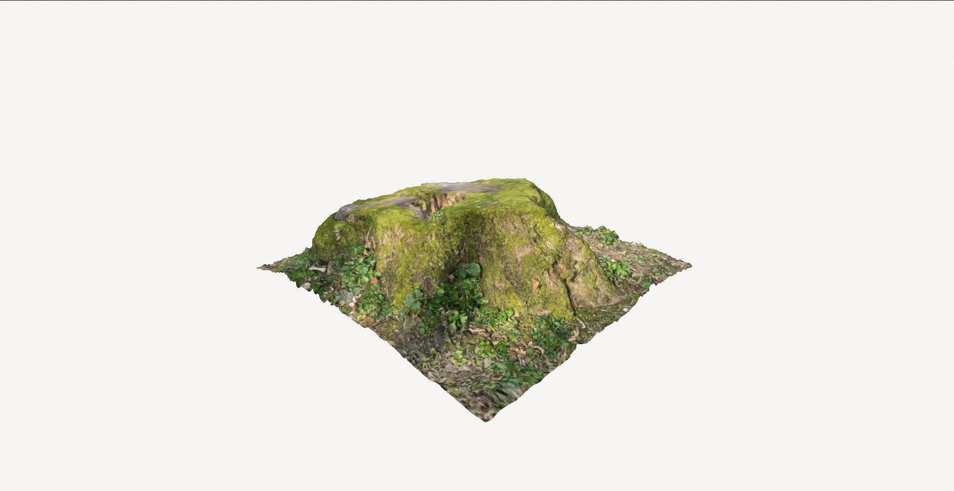Tree Stump 1 3D model_2
