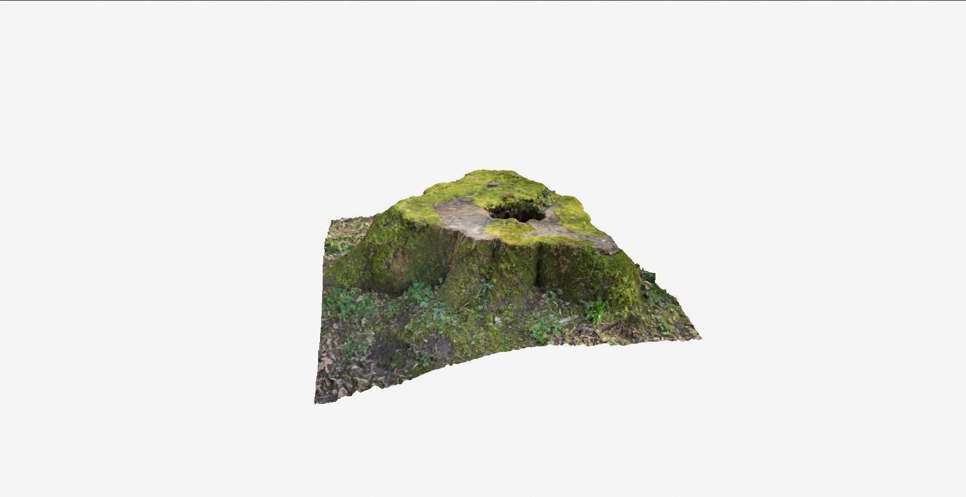 Tree Stump 1 3D model_5