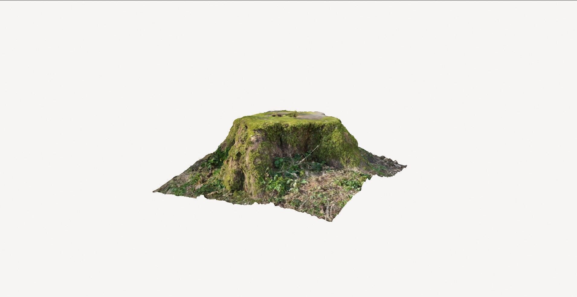 Tree Stump 1 3D model_1