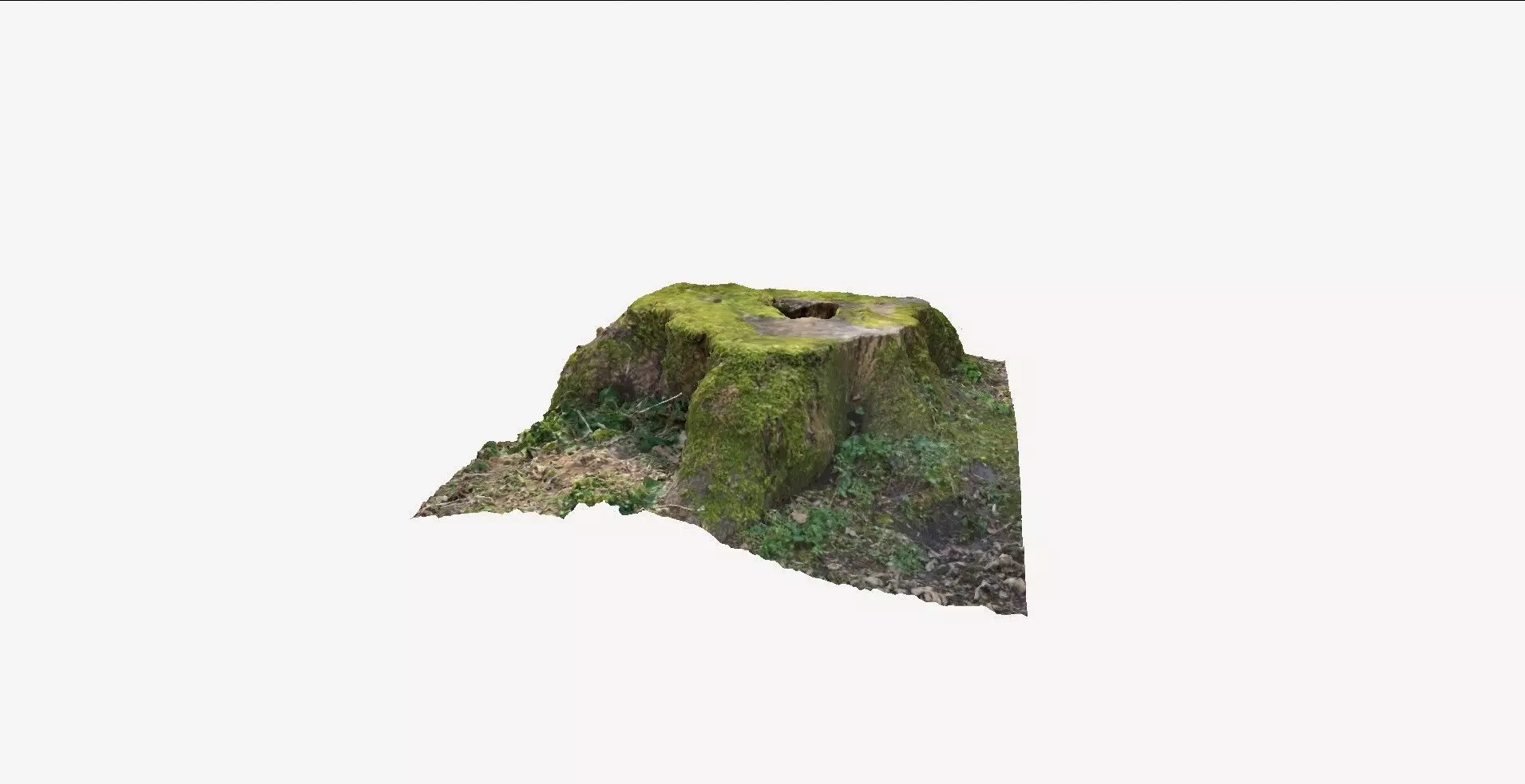 Tree Stump 1 3D model_0